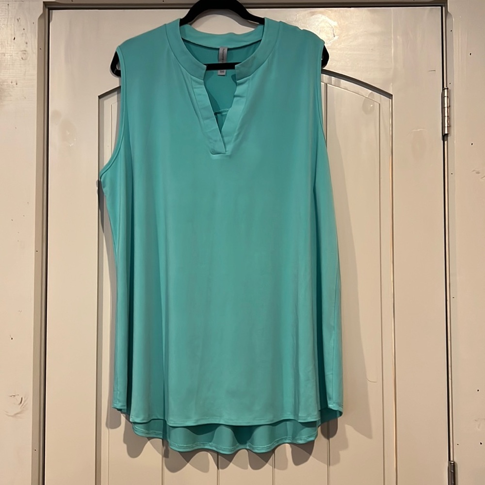 Honeyme sleeveless blouse, excellent used condition.